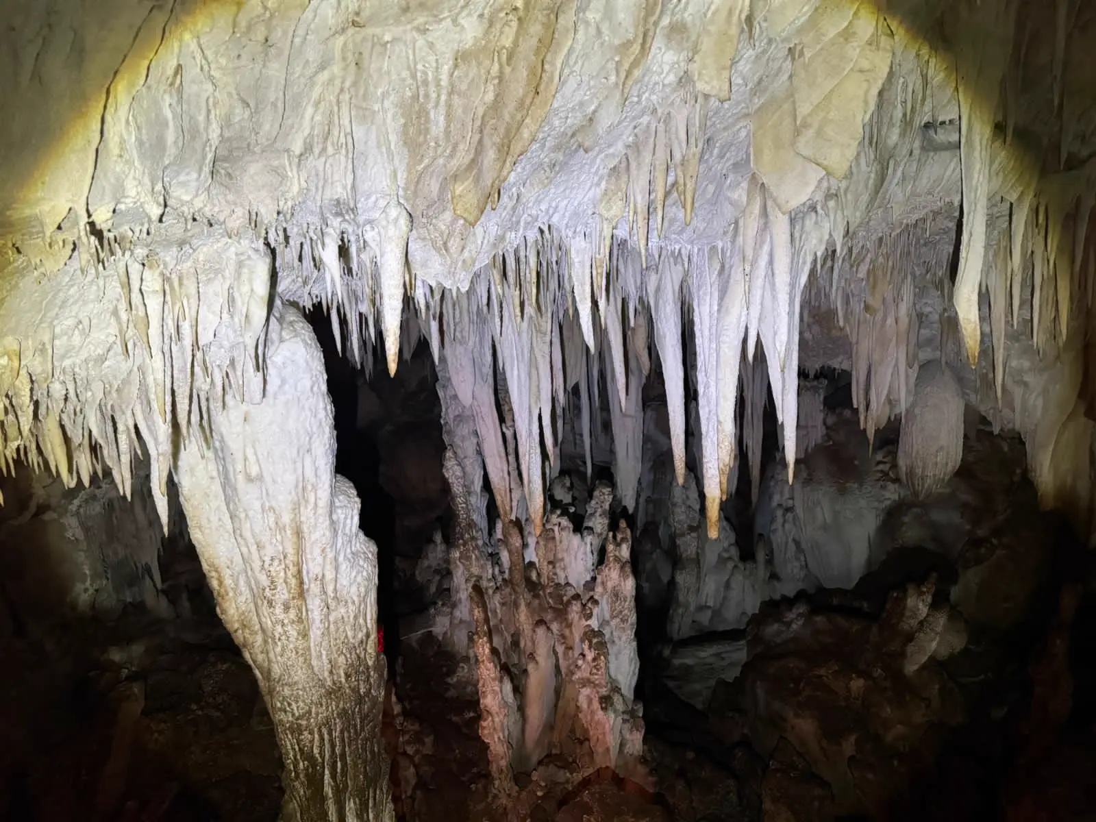 Cavernas guiadas
