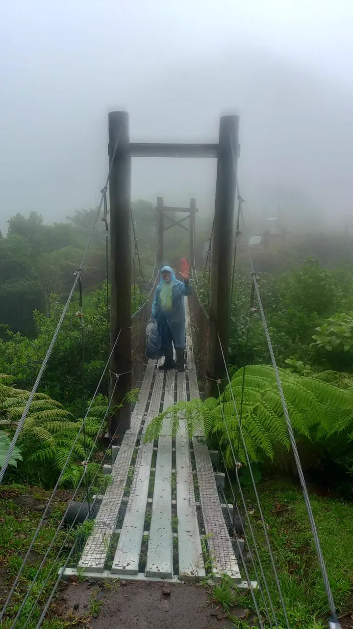 Puente en la neblina