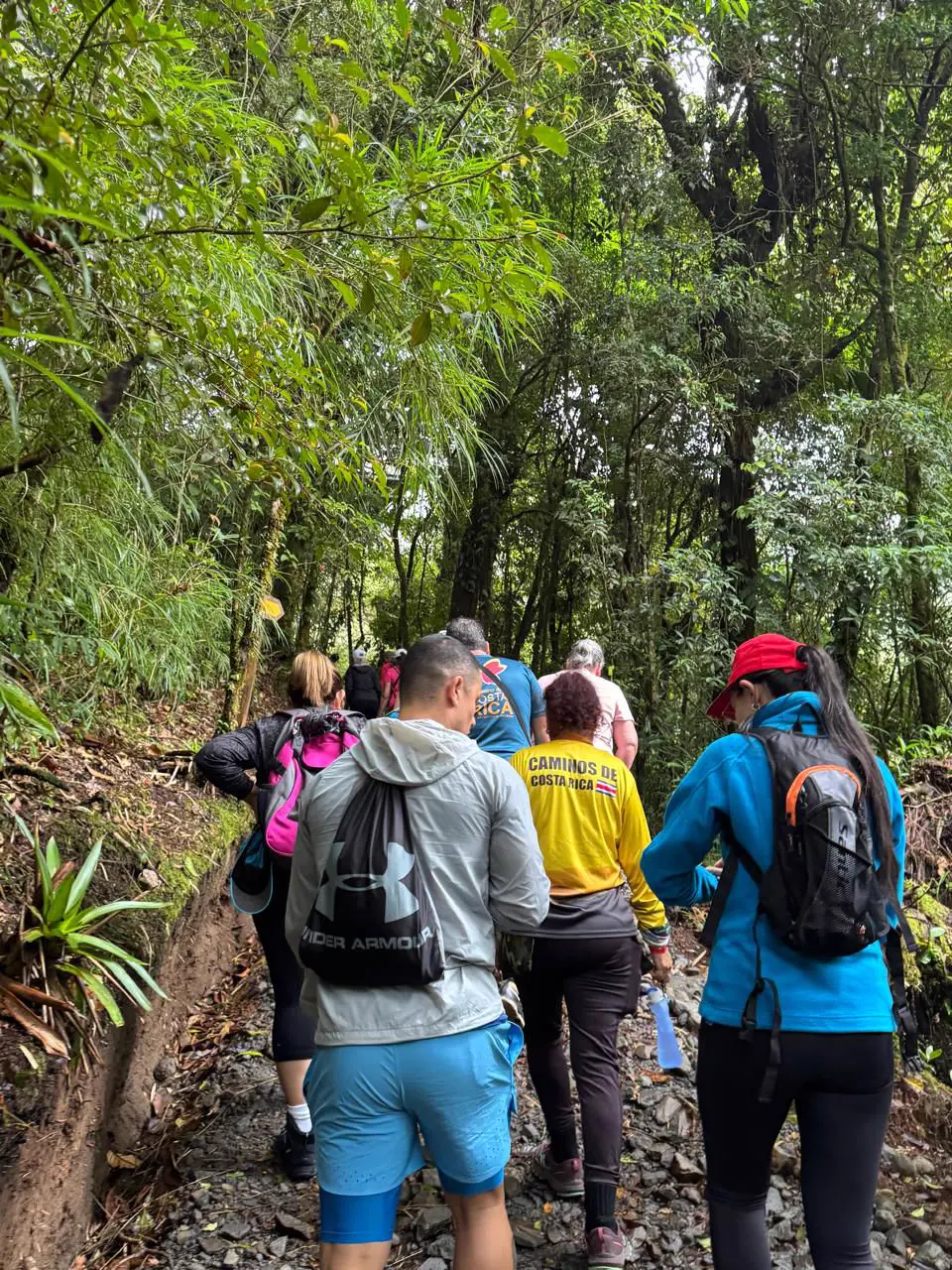 Sendero de selva